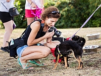Adoptuj Warszawiaka  Wydarzenie promujące adopcję zwierząt. Organizator: Schronisko dla Bezdomnych Zwierząt "Na Paluchu". 18 sierpnia 2019, Park Raszyński w Raszynie. : park raszyński, adoptuj warszawiaka, na paluchu, schronisko dla zwierząt, centrum warszawy, raszyn